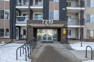 7210 80 Ave NE in Calgary, AB - Building Photo - Building Photo