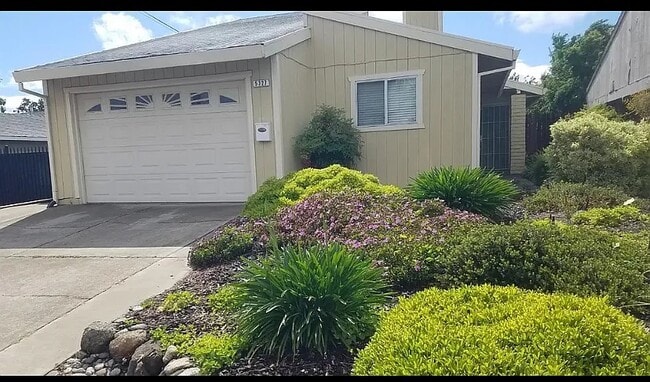 5327 Hillsdale Blvd in Sacramento, CA - Foto de edificio - Building Photo