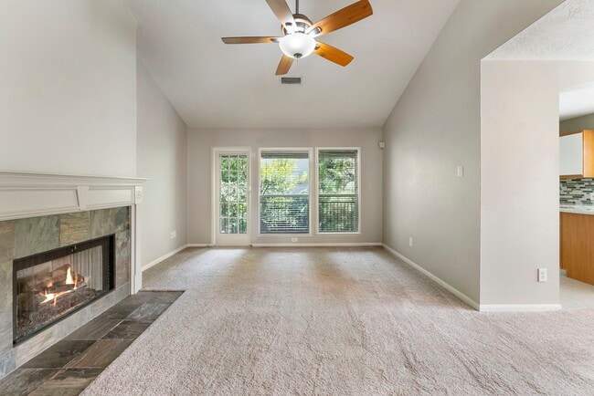 17 N Spiral Vine Cir in Spring, TX - Building Photo - Building Photo
