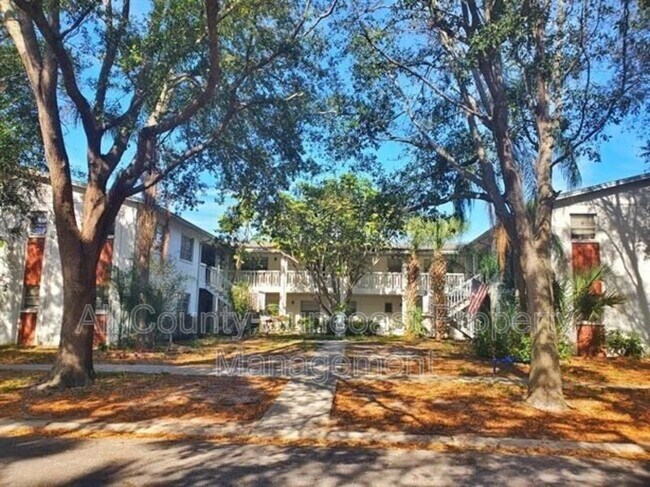 3467 33rd Ave N in St. Petersburg, FL - Building Photo - Building Photo