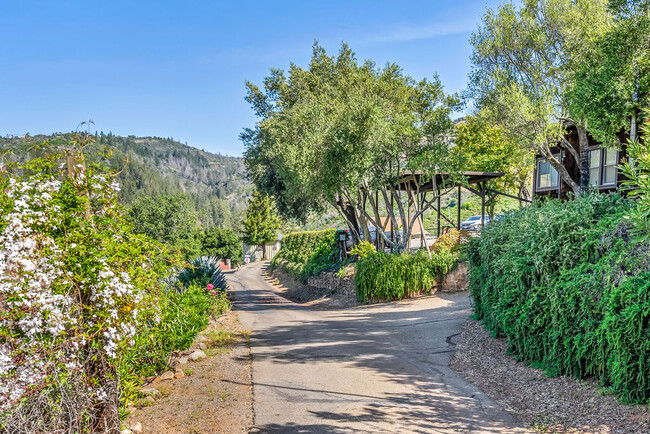 Moon Mountain Farm in Sonoma, CA - Building Photo - Building Photo