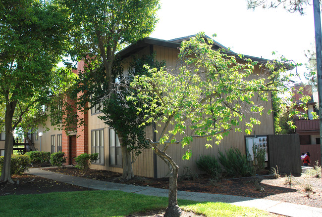 313 Camelback Rd in Pleasant Hill, CA - Foto de edificio - Building Photo