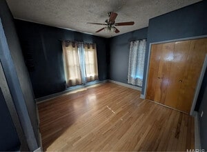 828 W Pearl St in Staunton, IL - Building Photo - Building Photo