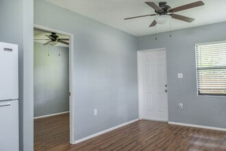 517 N Delaware Ave in DeLand, FL - Building Photo - Building Photo