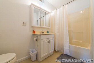 199 Mt Auburn St in Cambridge, MA - Building Photo - Building Photo