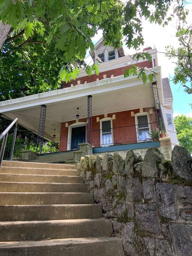 319 Green Ln, Unit #3