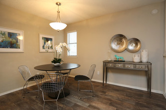 Serena Vista in Arlington, TX - Foto de edificio - Interior Photo