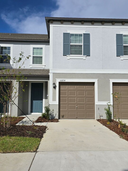 10824 Fowlers Blf Ct in Tampa, FL - Building Photo