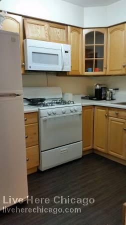 200 E Delaware Pl in Chicago, IL - Building Photo