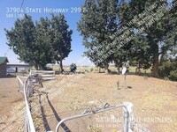 37904 CA-299 photo'