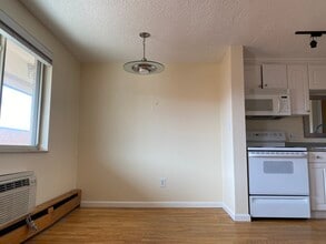 148 S Emerson St, Unit 304 in Denver, CO - Building Photo - Building Photo