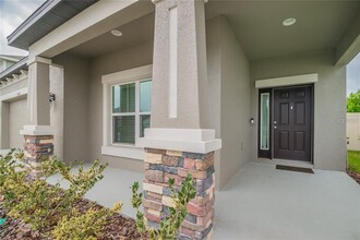 30781 Parrot Reef Ct in Wesley Chapel, FL - Foto de edificio - Building Photo