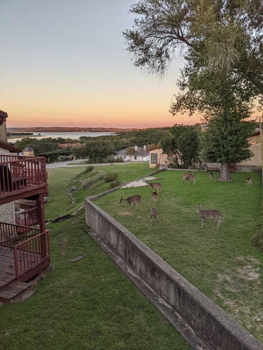 116 Campbell Dr, Unit 7 in Canyon Lake, TX - Foto de edificio