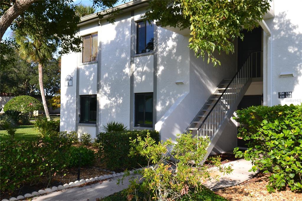 135 W Cypress Ct in Oldsmar, FL - Building Photo