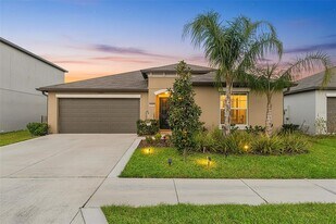 31713 Sun Kettle Lp in Zephyrhills, FL - Building Photo