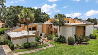 1051 S Highland St in Mount Dora, FL - Building Photo