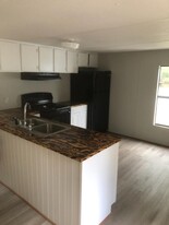 147 Cherrie Murrell St in Hinesville, GA - Building Photo