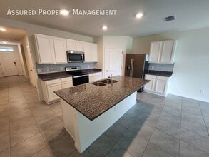 11236 Amber Ridge Dr in Zellwood, FL - Building Photo - Building Photo