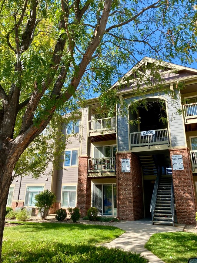 property at 804 Summer Hawk Dr