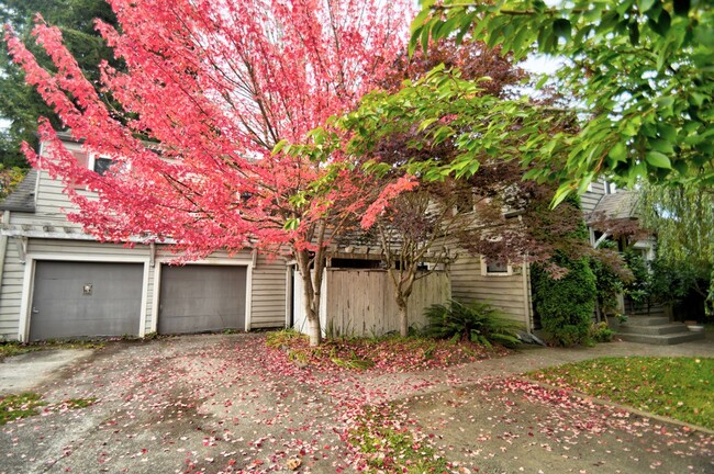 1715 Quince St NE in Olympia, WA - Building Photo - Building Photo