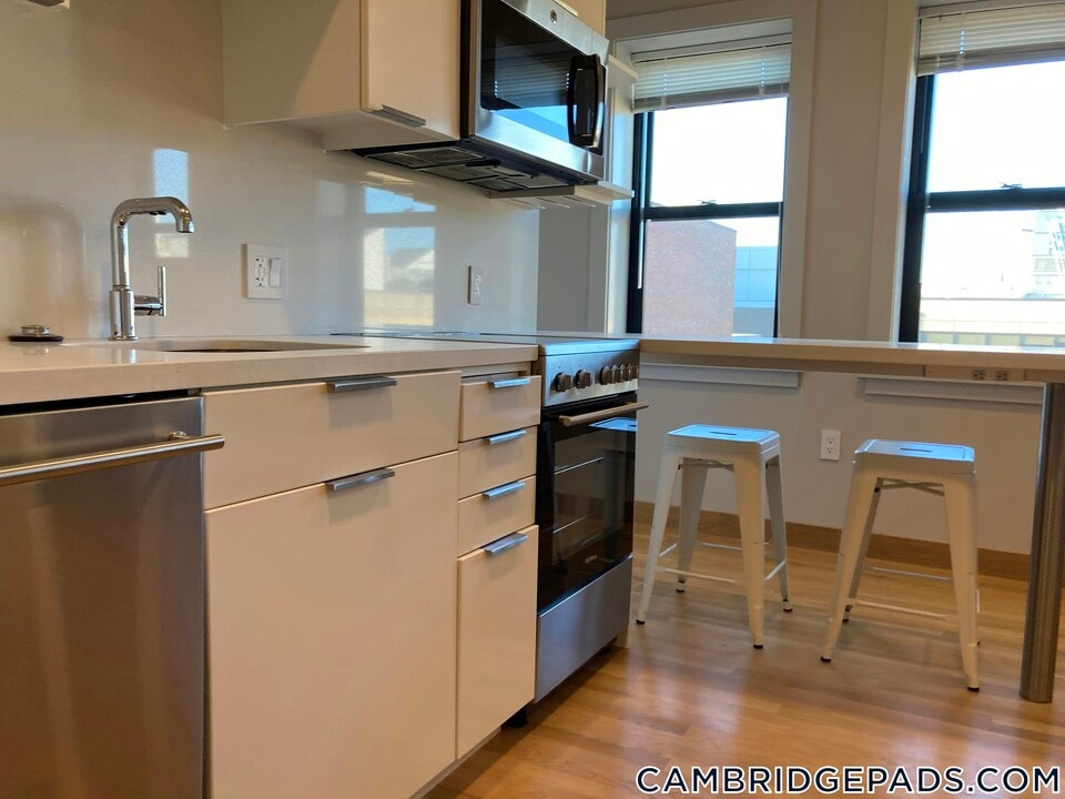 115 Mt Auburn St in Cambridge, MA - Building Photo