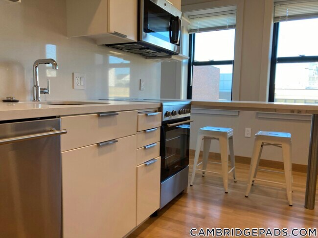property at 115 Mt Auburn St