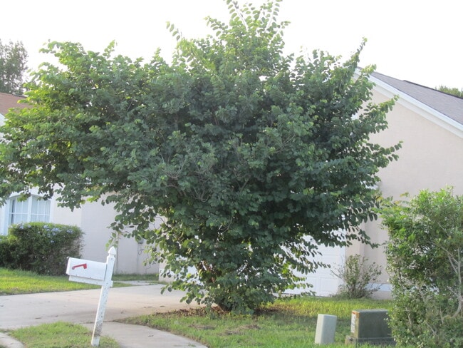 property at 5868 22nd St