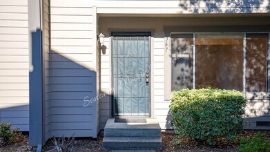 367 Wall Pl in Santa Rosa, CA - Building Photo - Building Photo