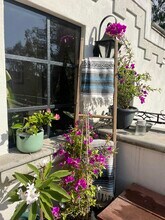 3631 Manchester Ave in Encinitas, CA - Building Photo - Building Photo