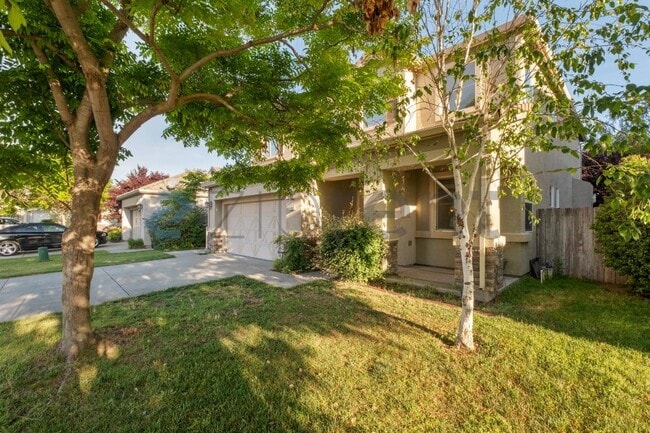 1137 St Croix Way in Manteca, CA - Building Photo - Building Photo