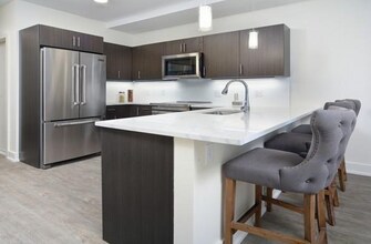 20 Penniman Rd in Boston, MA - Foto de edificio - Building Photo