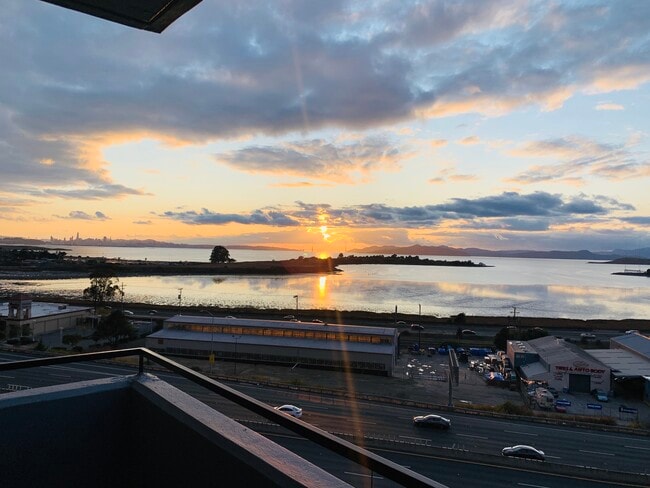 555 Pierce St, Unit 555 Pierce St in Albany, CA - Foto de edificio - Building Photo