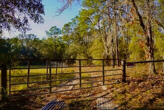29205 Saddle Oaks Ln in Brooksville, FL - Foto de edificio - Building Photo