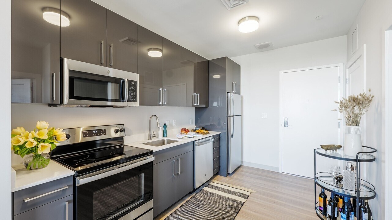 Overlook at St. Gabriels in Brighton, MA - Building Photo