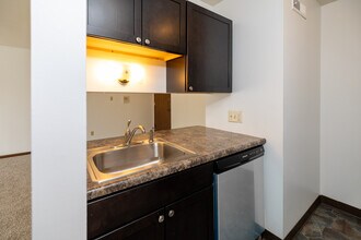 Altoona Terrace in Altoona, IA - Building Photo - Interior Photo
