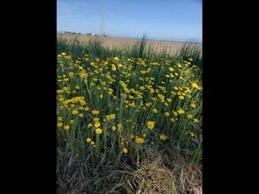 6 Dockside Cir in Redwood City, CA - Building Photo - Building Photo