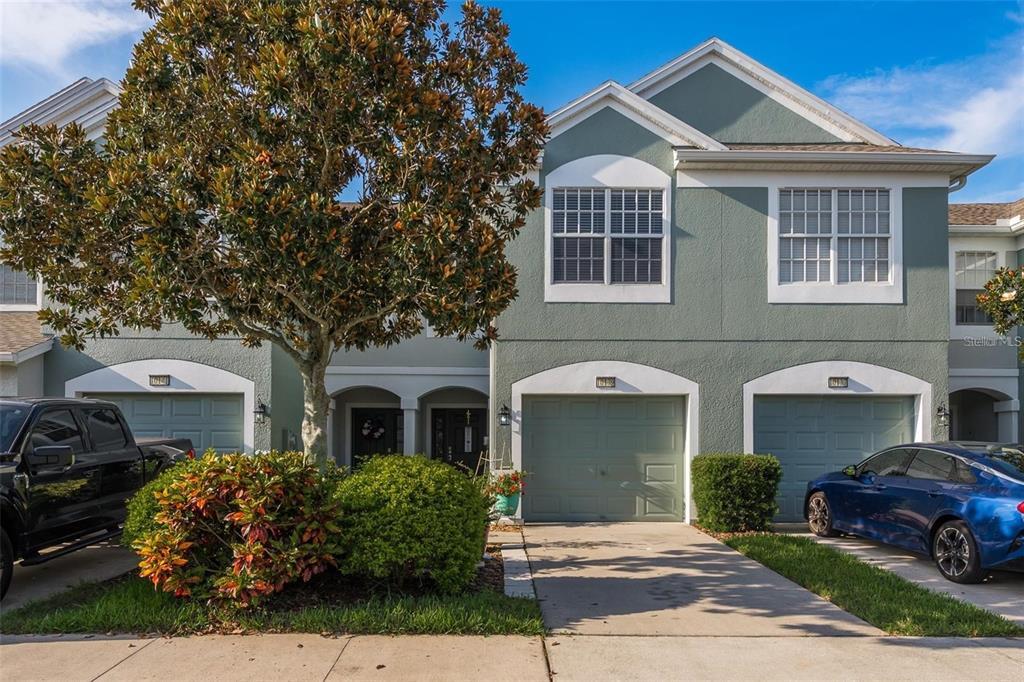10139 Pink Palmata Ct in Riverview, FL - Building Photo