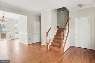 16778 Brandy Moor Loop in Woodbridge, VA - Building Photo