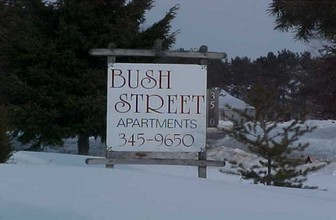 Bush Street Apartments in Stevens Point, WI - Building Photo - Other