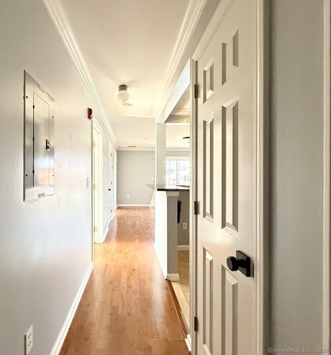 19 Isaacs St in Norwalk, CT - Building Photo - Building Photo