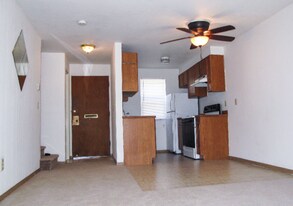 441 Park Ave N in Renton, WA - Building Photo