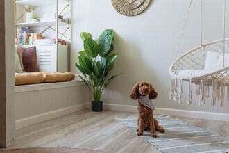 308 Lamont St in Johnson City, TN - Building Photo - Building Photo