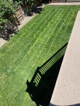6330 Shooting Iron Way in Colorado Springs, CO - Building Photo - Building Photo