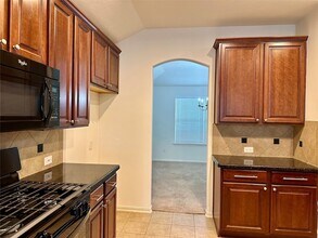 30415 Deleon Fields Dr in Spring, TX - Building Photo - Building Photo