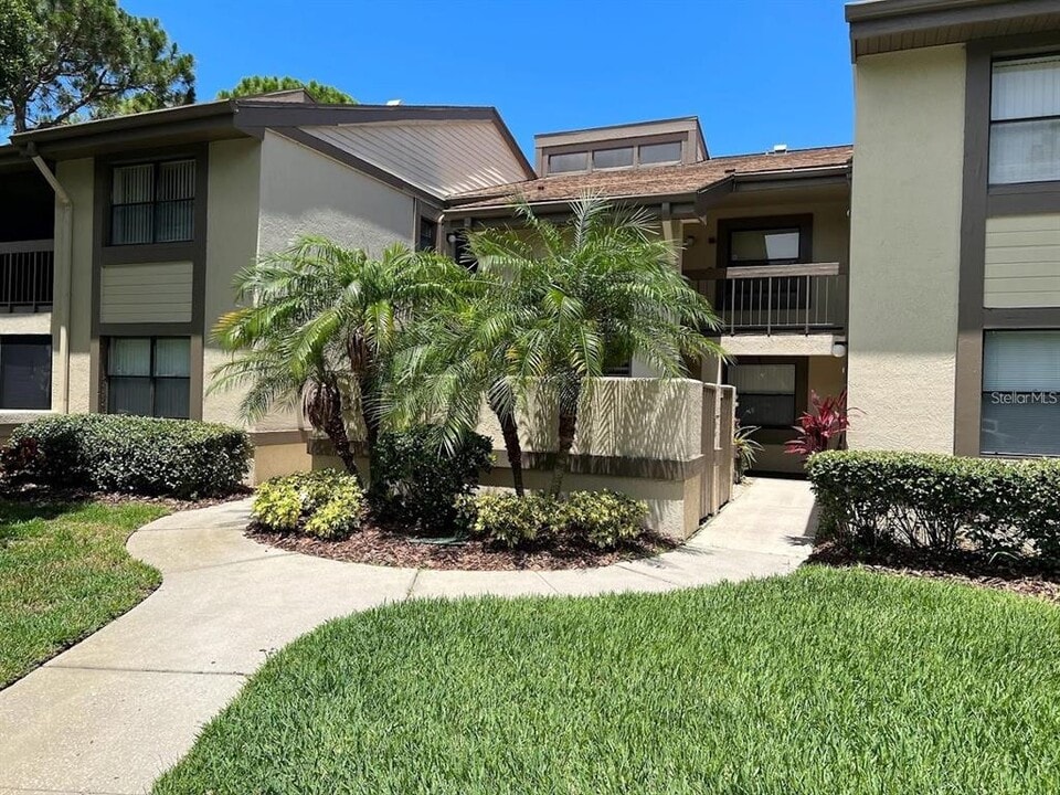 333 Woodlake Wynde in Oldsmar, FL - Building Photo