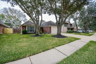 1319 Irish Mist Ct in Katy, TX - Building Photo