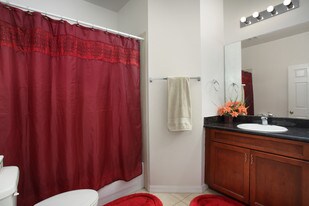 Tampa Commons Apartments