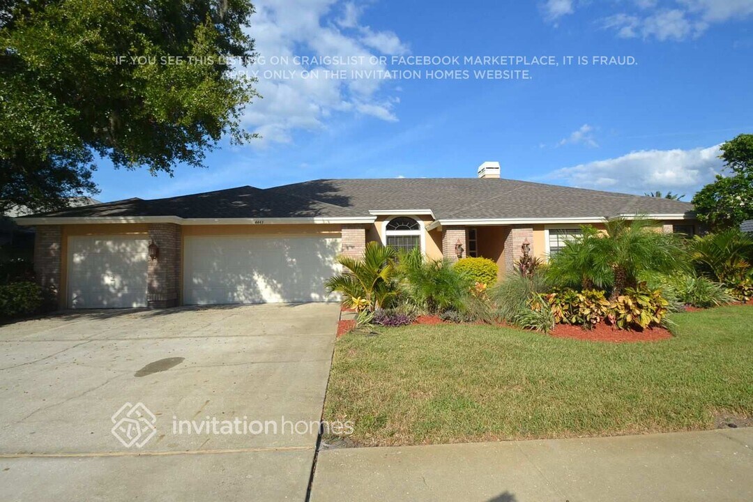 4443 Bardsdale Dr in Palm Harbor, FL - Building Photo