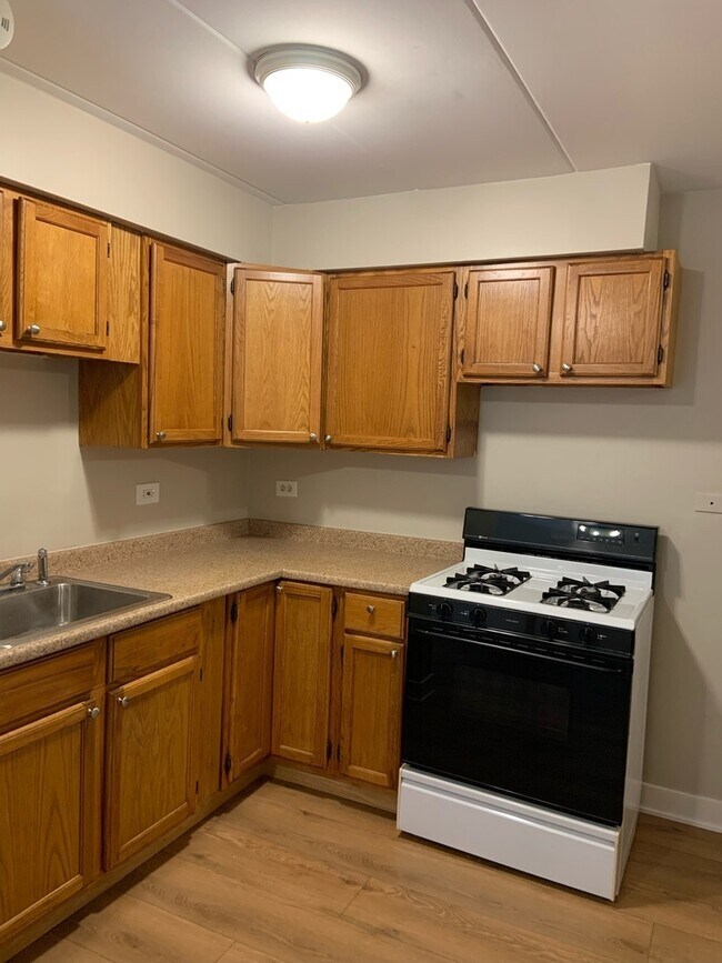 4602 River Rd in Schiller Park, IL - Building Photo - Building Photo