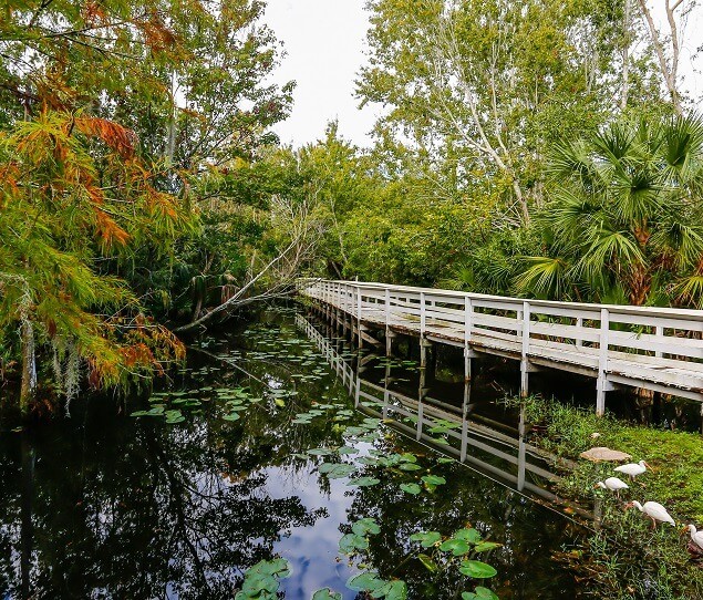 Apartamentos Alquiler en Lake Underhill, FL